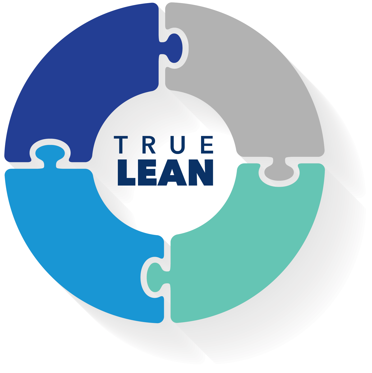decorative image of 4 puzzle pieces in a circle with True Lean in the center